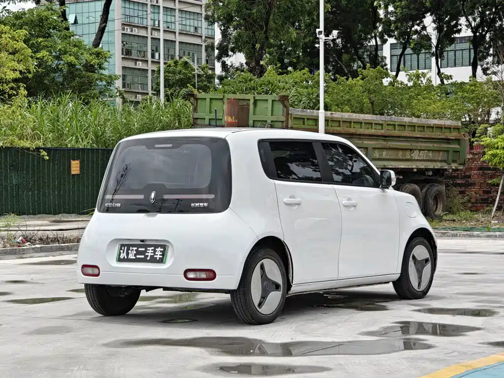 Ora White Cat 2022