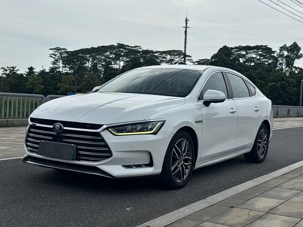 BYD Qin Pro New Energy 2019 — фото 1