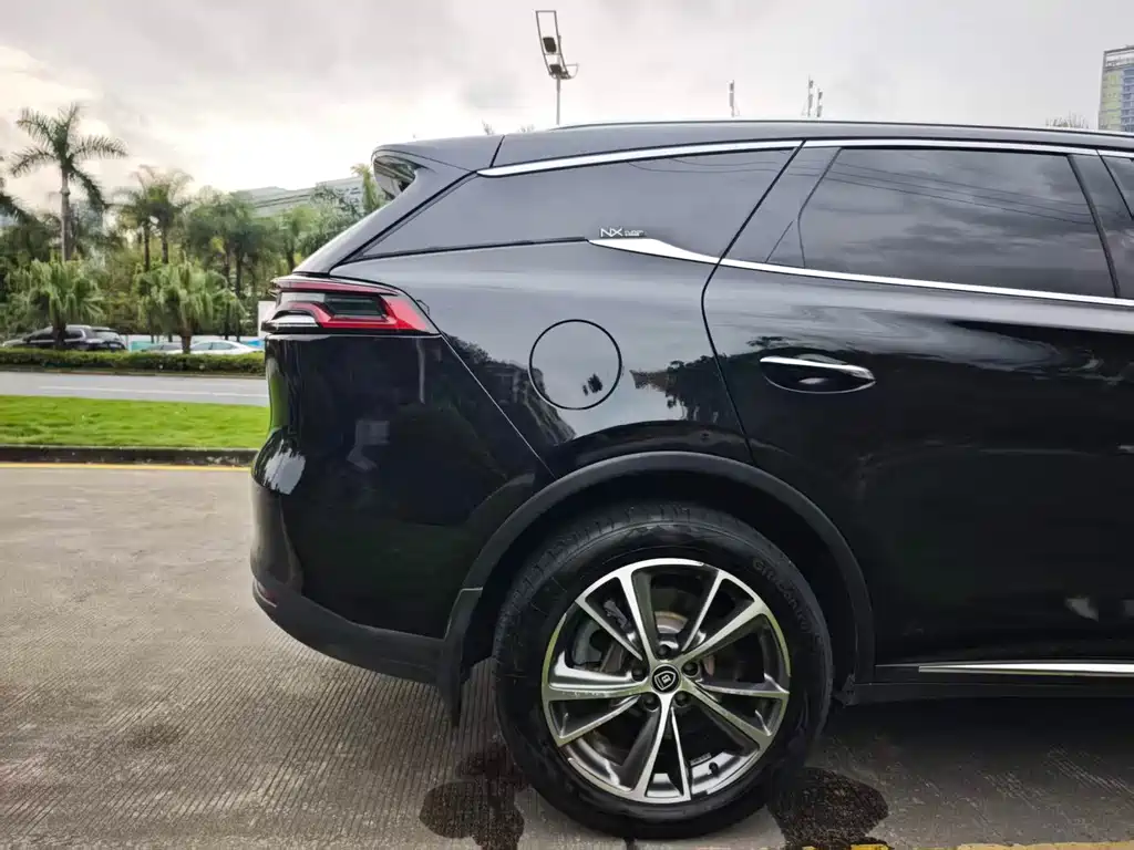 BYD Tang New Energy 2019 — фото 10