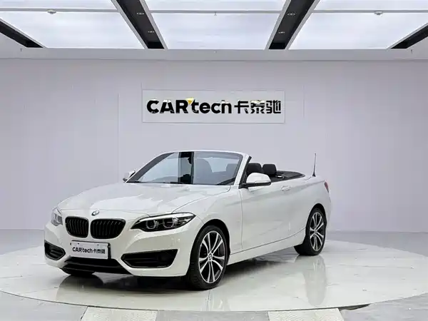 BMW 2 Series 2019
