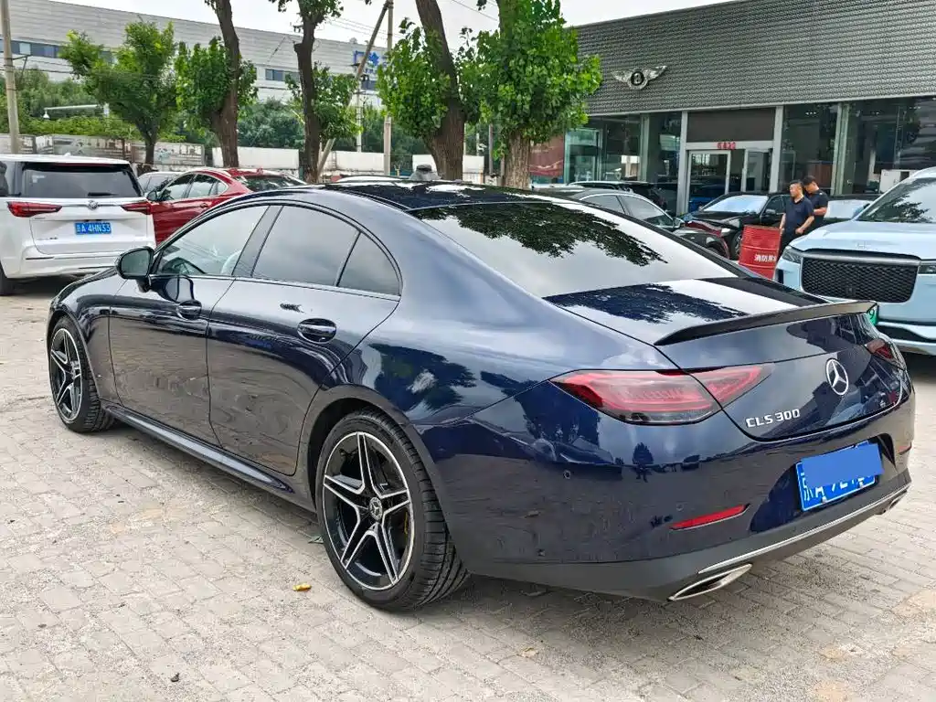 Mercedes-Benz CLS 2019 — фото 15