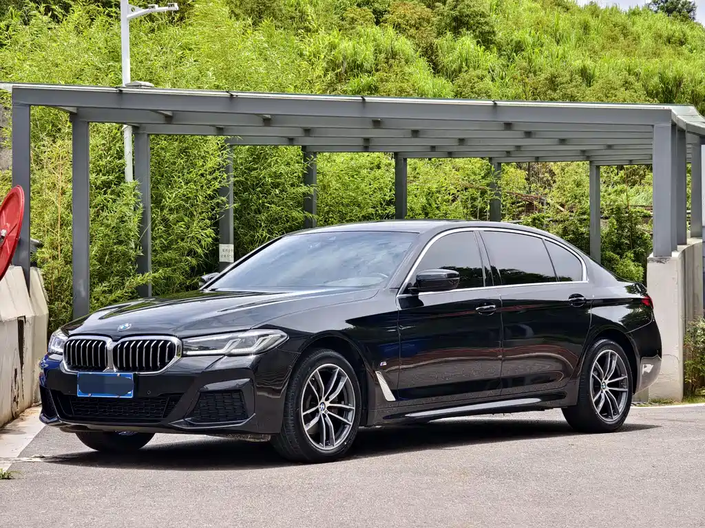 BMW 5 Series 2021