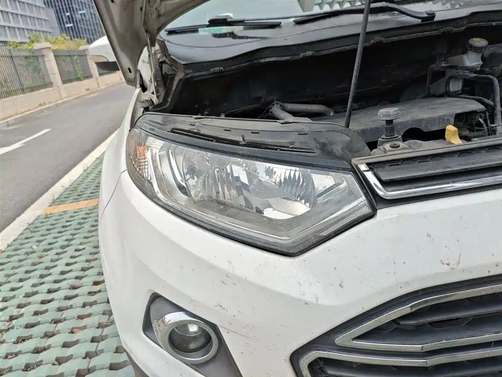 Ford Ecosport 2015 — фото 7