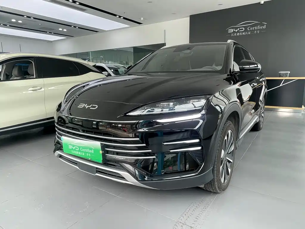 BYD PLUS New Energy 2025 — фото 1