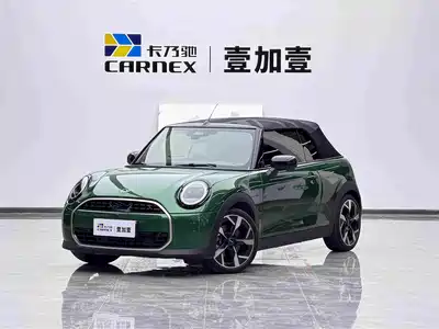 MINI MINI 2025