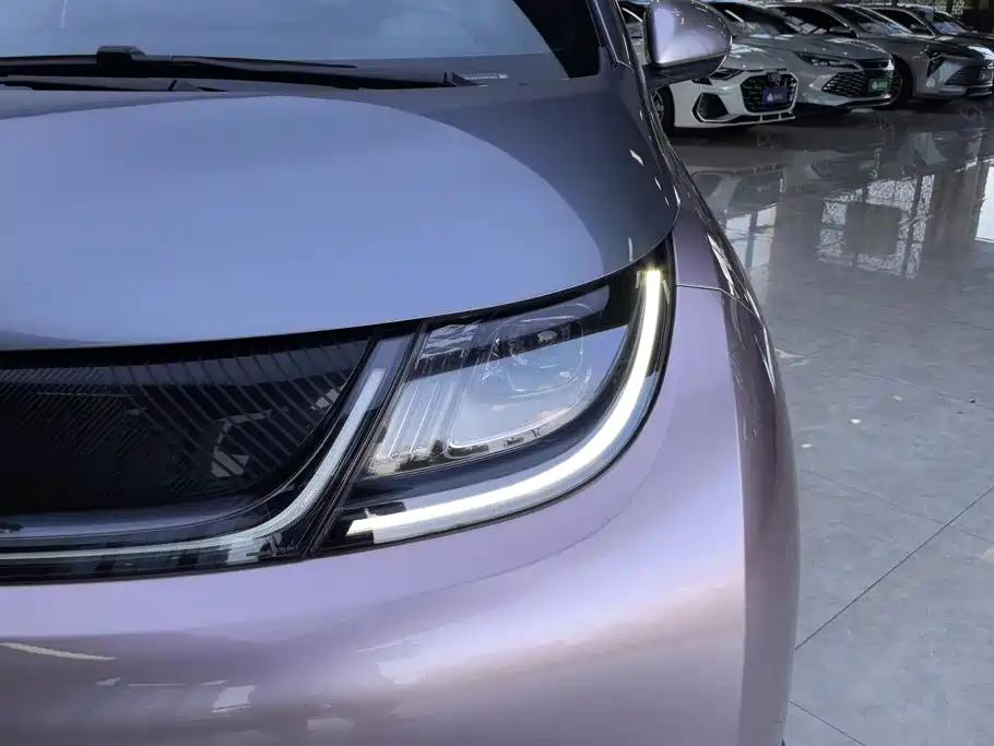 BYD Dolphin 2022