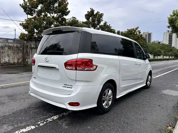 Maxus G10 2019