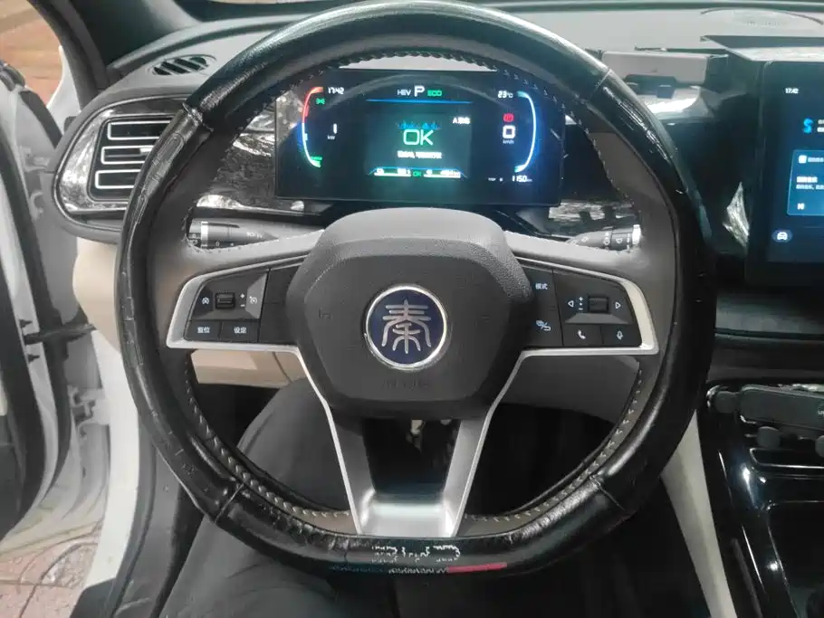 BYD Qin PLUS 2024 — фото 15