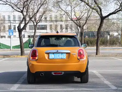 MINI MINI 2014