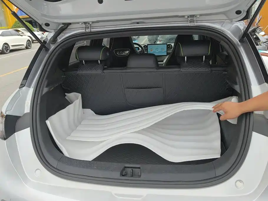 BYD Dolphin 2022
