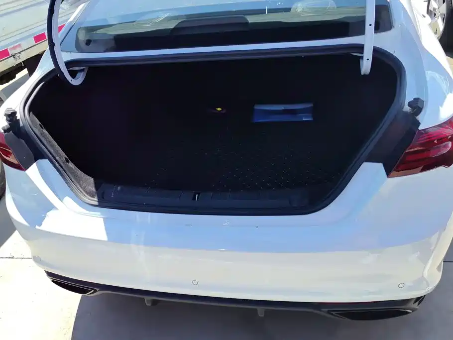 Geely Binrui 2021