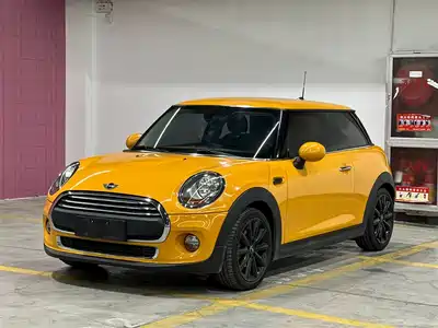MINI MINI 2014
