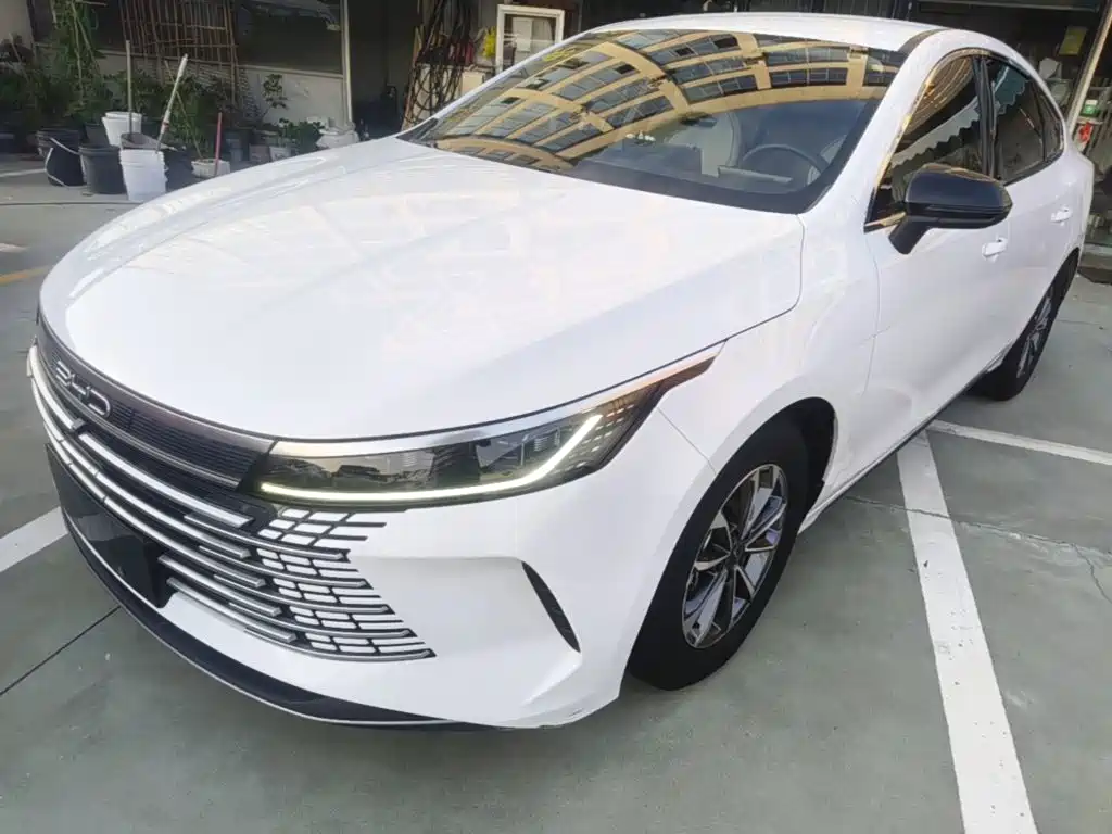 BYD Destroyer 05 2024 — фото 2