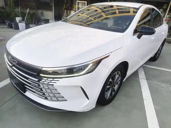 BYD Destroyer 05 2024