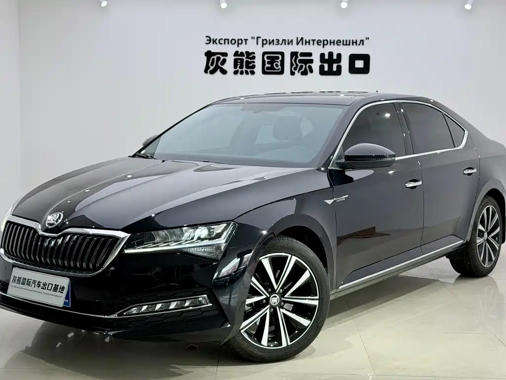 Skoda Speedy 2024
