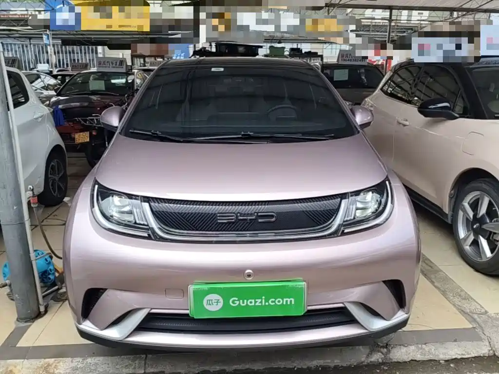 BYD Dolphin 2023