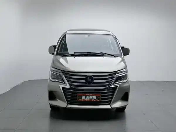 Dongfeng Lingzhi 2025