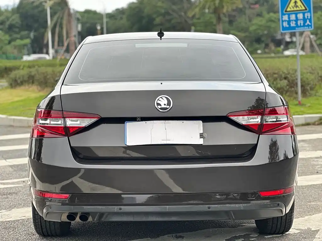 Skoda Speedy 2019 — фото 15