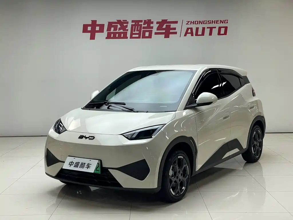 BYD Seagull 2025