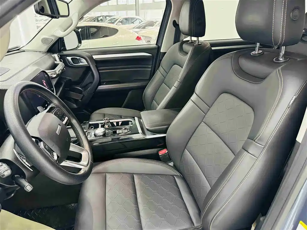 Haval Big Dog 2022 — фото 12