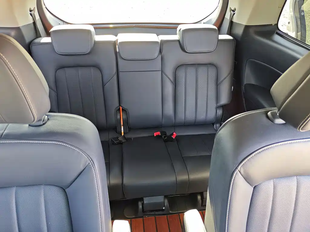 GAC Motor Trumpchi M8 2020 — фото 17