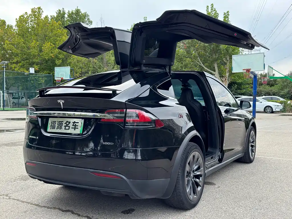 Tesla Model X 2018 — фото 5