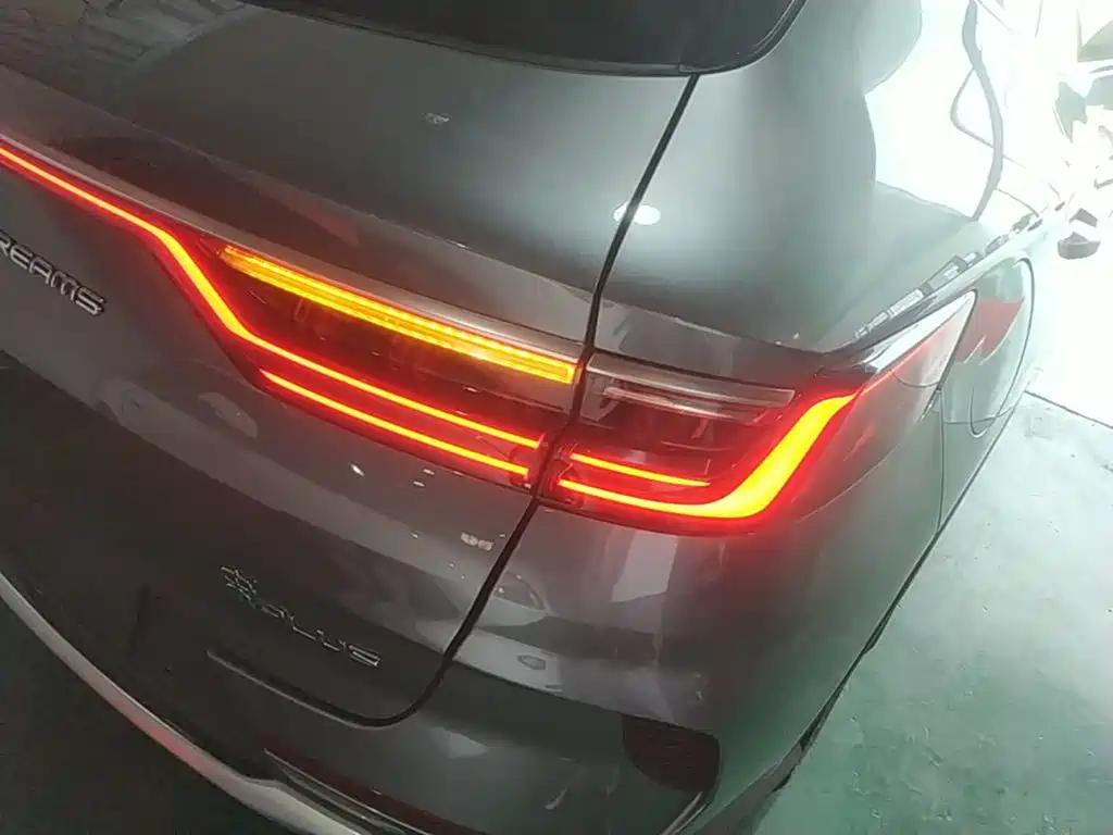 BYD PLUS New Energy 2022 — фото 8