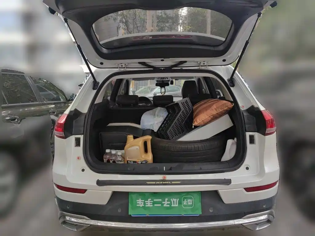 Haval H6 2020 — фото 15