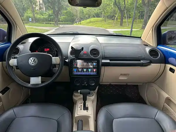 Volkswagen Beetle 2009