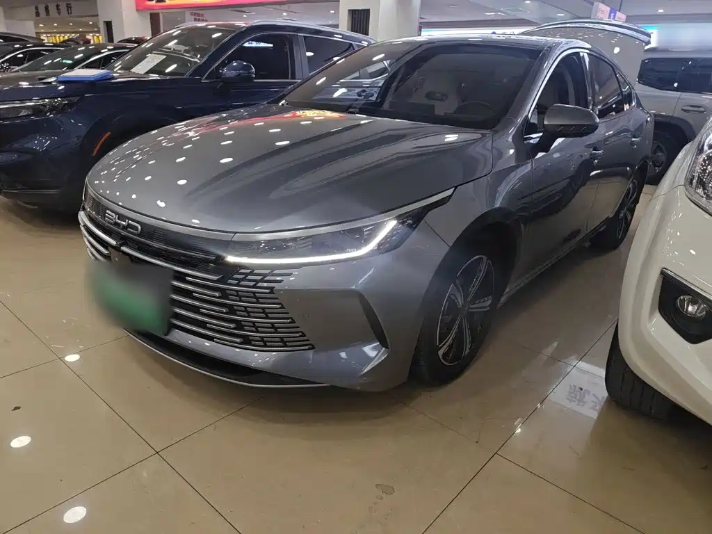BYD Destroyer 05 2022 — фото 2