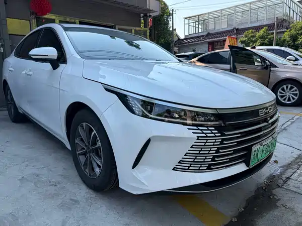 BYD Destroyer 05 2024