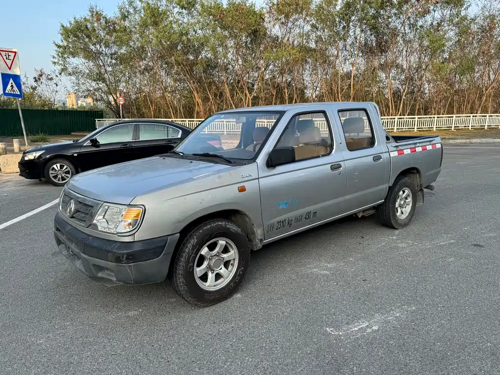 Dongfeng Ruiqi 2013