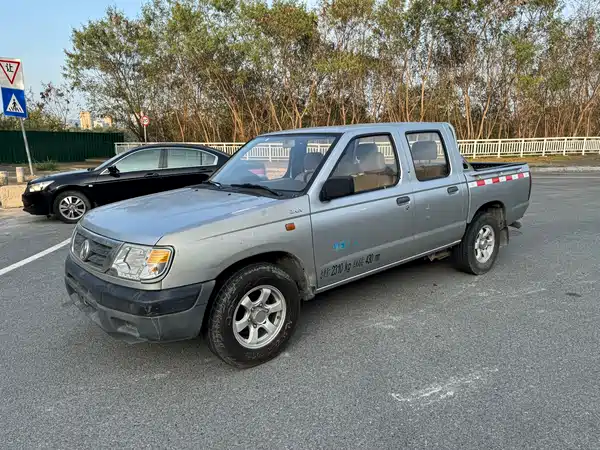 Dongfeng Ruiqi 2013