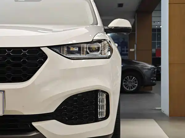 Wey VV6 2018