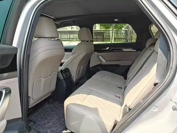 BYD Tang New Energy 2025