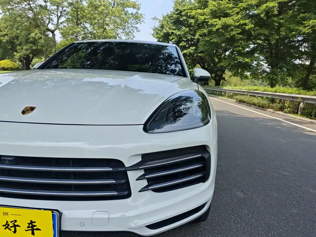 Porsche Cayenne 2019 — фото 26