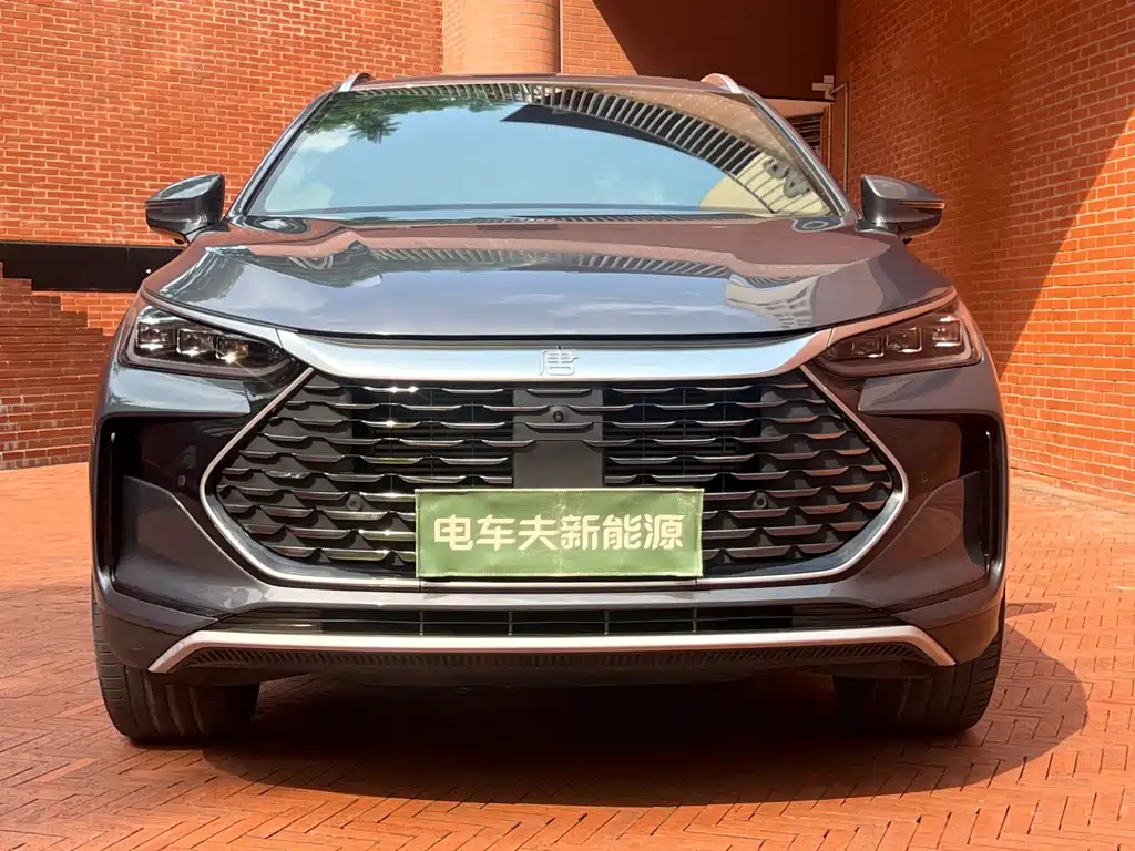 BYD Tang New Energy 2022 — фото 2