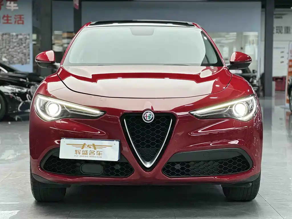 Alfa Romeo Stelvio 2019 — фото 2
