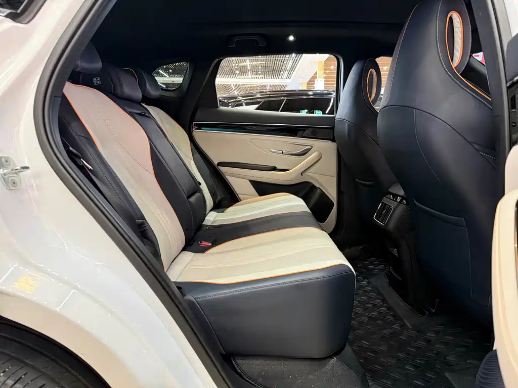 BYD Song PLUS New Energy 2023 — фото 25