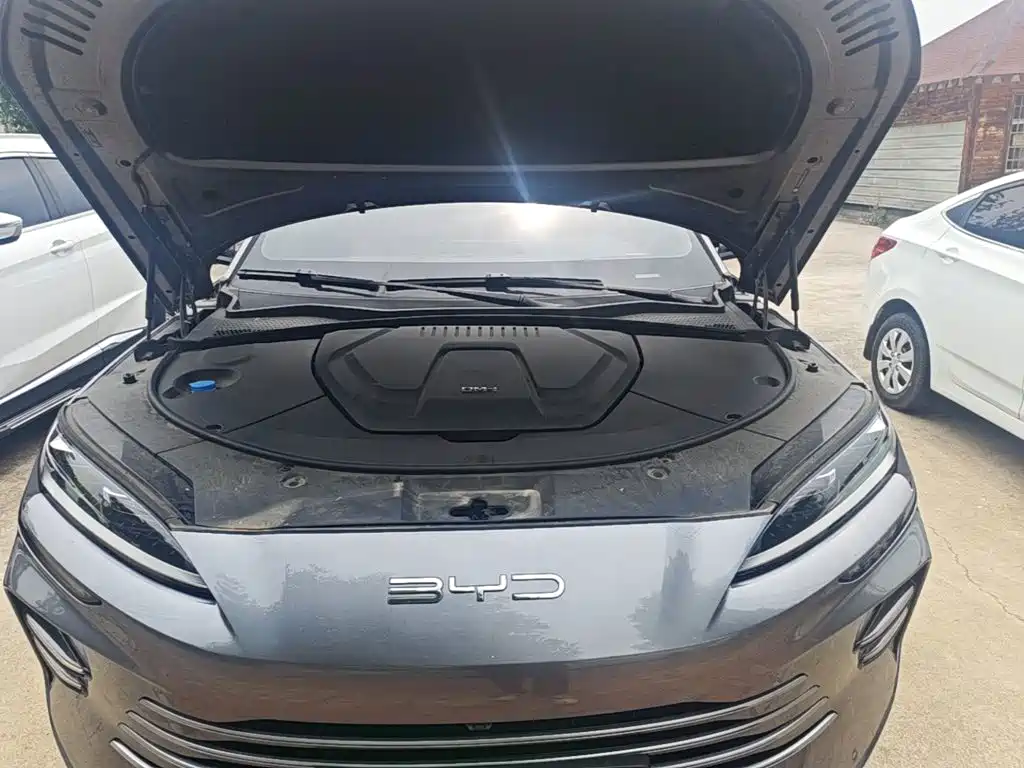 BYD Song PLUS New Energy 2024 — фото 16