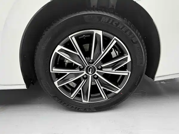 GAC Trumpchi M8 2024