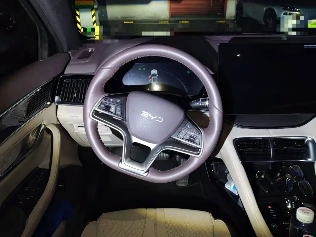 BYD Song PLUS New Energy 2024 — фото 11