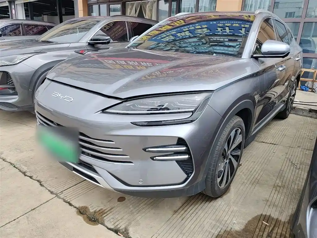 BYD PLUS New Energy 2024 — фото 2
