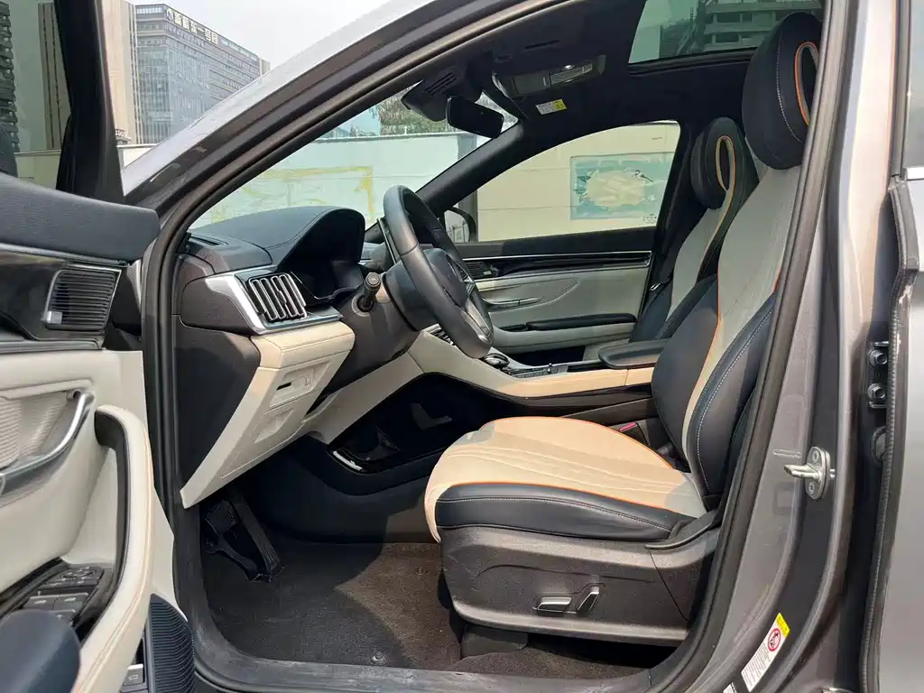 BYD PLUS New Energy 2022 — фото 8