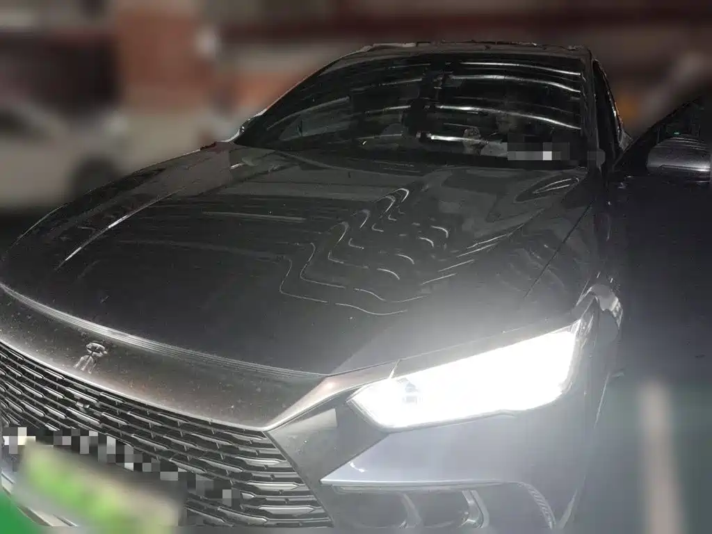 BYD Song Pro New Energy 2023 — фото 2