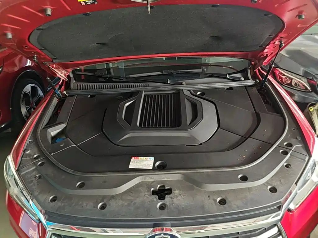 BYD Song Pro New Energy 2019 — фото 16