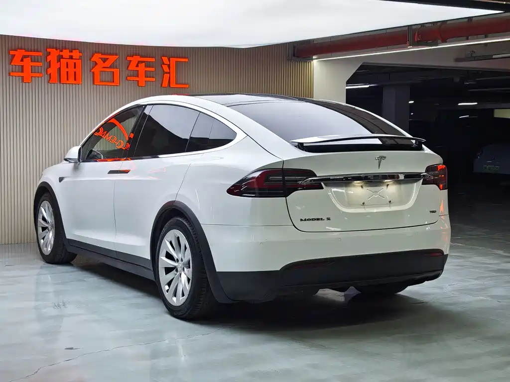 Tesla Model X 2017 — фото 13