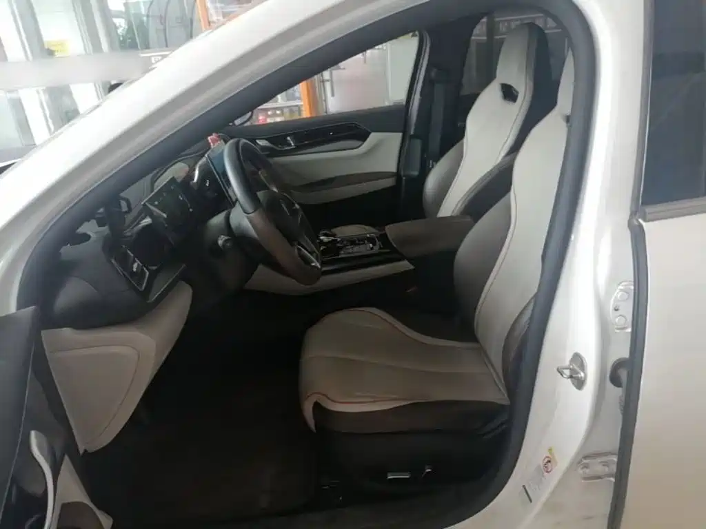 BYD Qin PLUS 2024 — фото 15