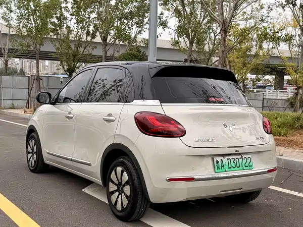 Wuling Bingo 2024