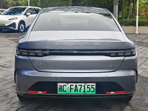 BYD Destroyer 05 2024